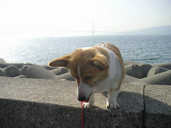 Resize of PICT1629_thumb.jpg